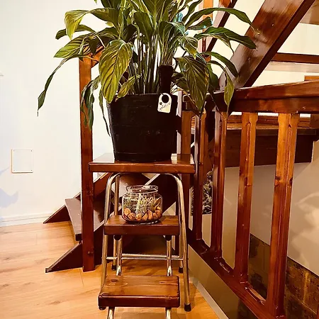 Casa Vacanze Santa Marta בית הארחה *